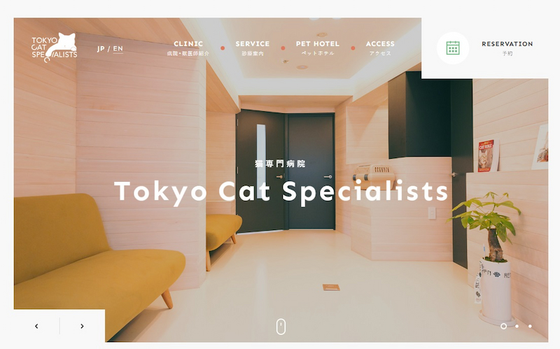 Tokyo Cat Specialists